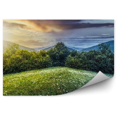 Öntapadós fotótapéta Zöld tisztás virágos nappal éjjel nap hold