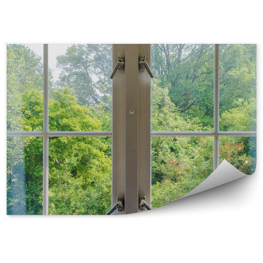 Öntapadós fotótapéta Fák erdei természet zöld az ablakon