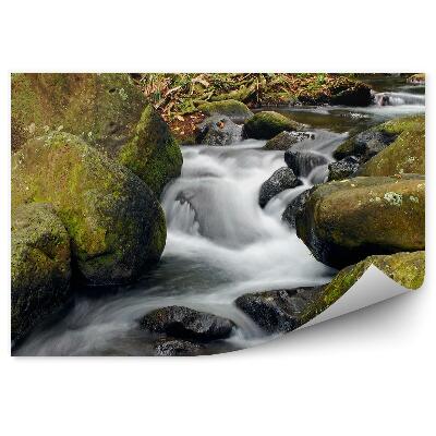 Öntapadós fotótapéta patak víz közelkép szikla