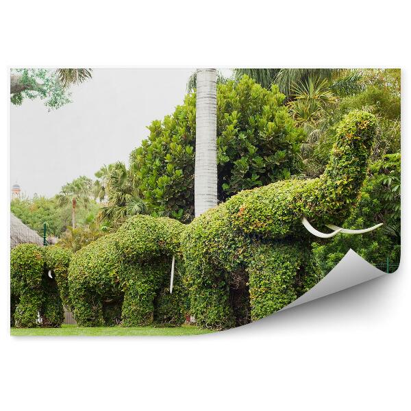 Öntapadós fotótapéta Díszes zöld bokor elefánt