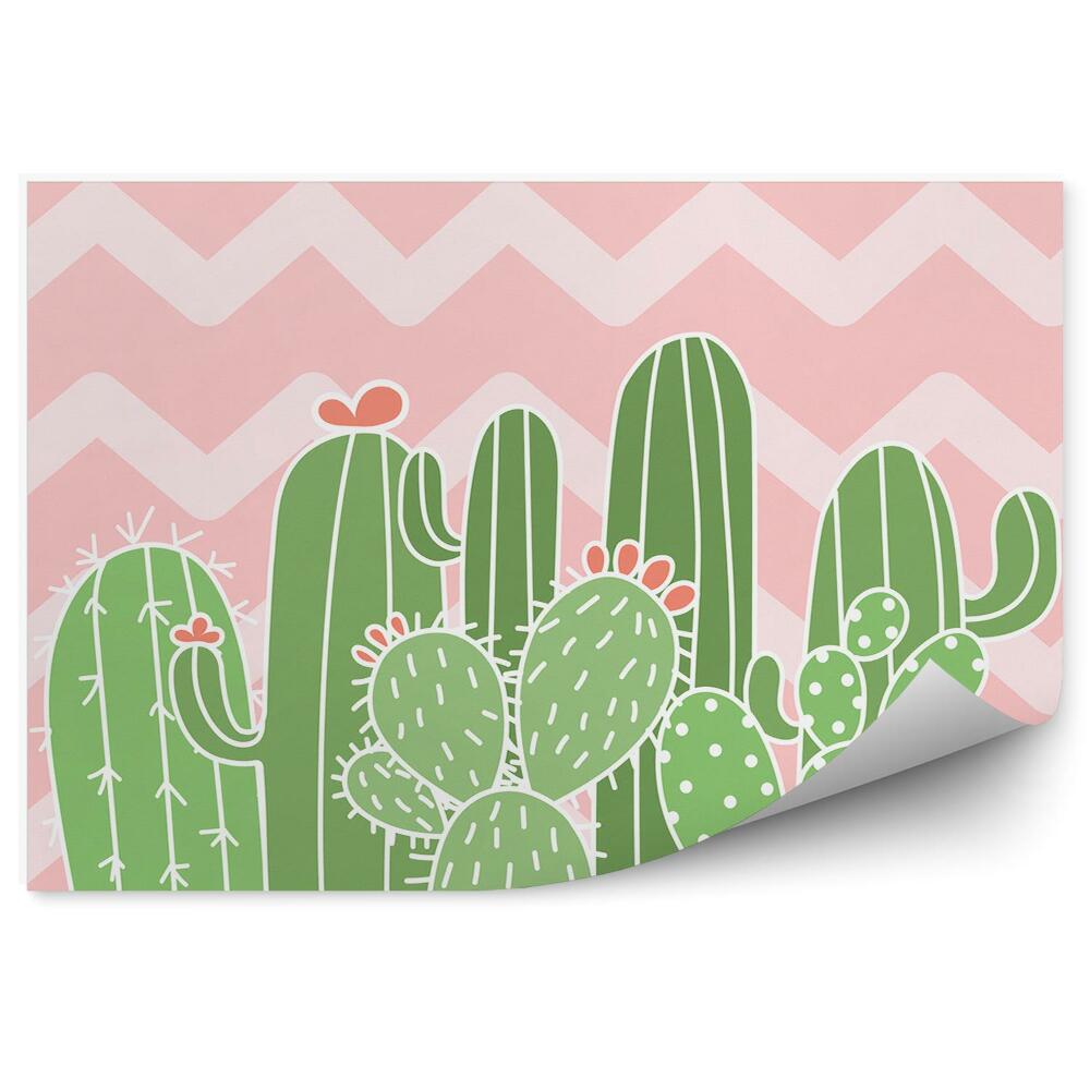 Poszter tapéta Csíkos kaktuszok geometriai mintázata