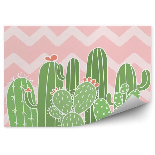 Poszter tapéta Csíkos kaktuszok geometriai mintázata