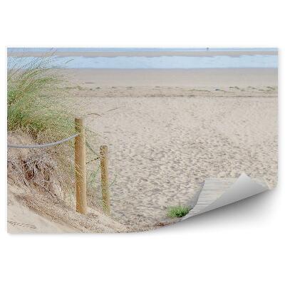 Öntapadó fotótapéta Pier beach fű óceán ég felhők