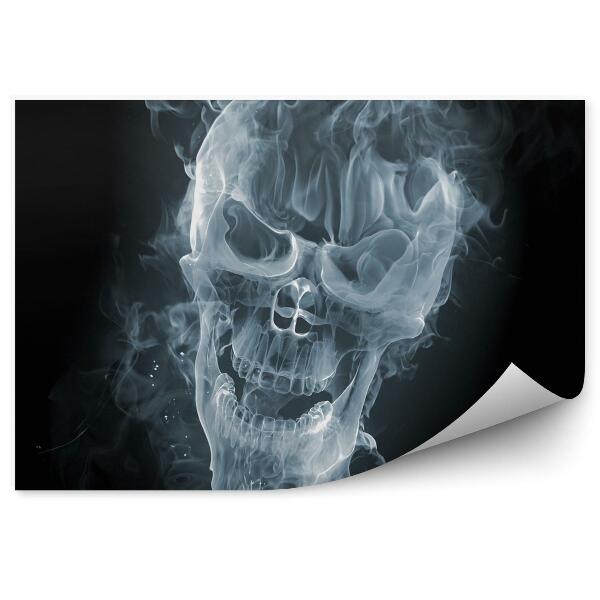 Fali poszter tapéta Koponya füsttel