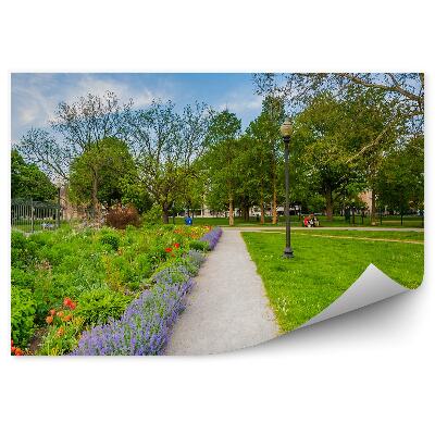 Fotótapéta Építészet virágok út park zöld