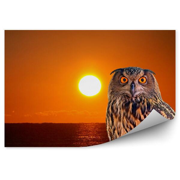 Öntapadós fotótapéta Bagoly a háttérben a lenyugvó nap