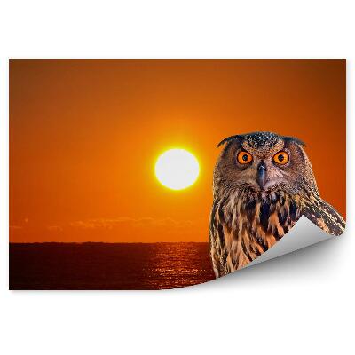 Öntapadós fotótapéta Bagoly a háttérben a lenyugvó nap
