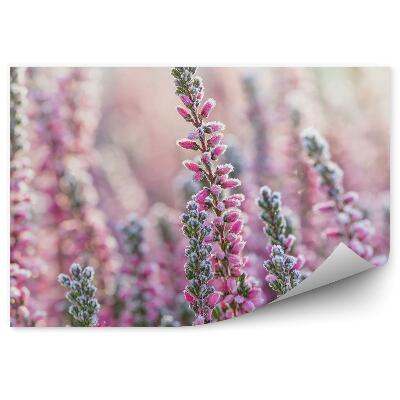 Poszter tapéta Havas hanga virágok