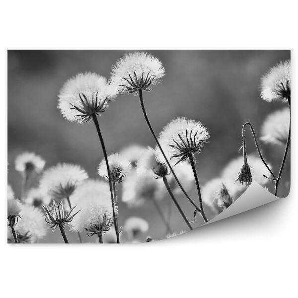 Öntapadós fotótapéta Fúvókák közelkép fekete-fehér