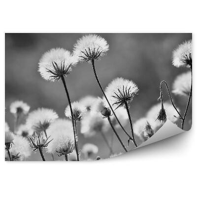 Öntapadós fotótapéta Fúvókák közelkép fekete-fehér