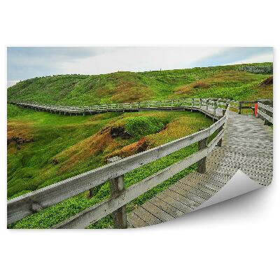 Fotótapéta Fából készült móló zöld füves mezőkkel