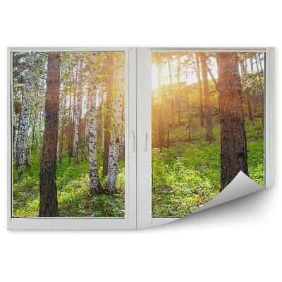 Öntapadós fotótapéta falra Nyírfák erdő domb kilátás az ablakon kívül