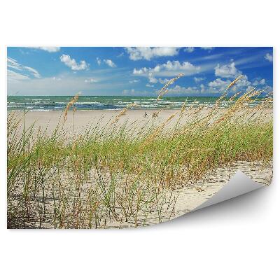 Öntapadó fotótapéta Tengerpart dűnék fű óceán ég felhők ventspils lettország