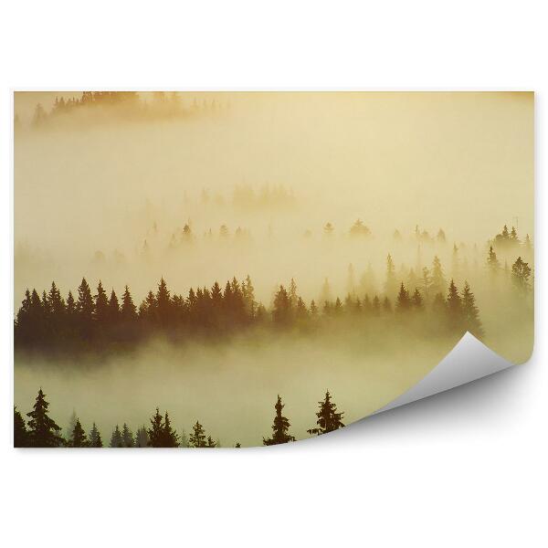 Öntapadós fotótapéta Karácsonyfa erdő köd köd napfény