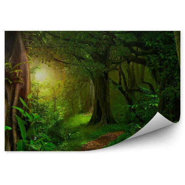 Fotótapéta Természet vadvilág dzsungel Thaiföld fák