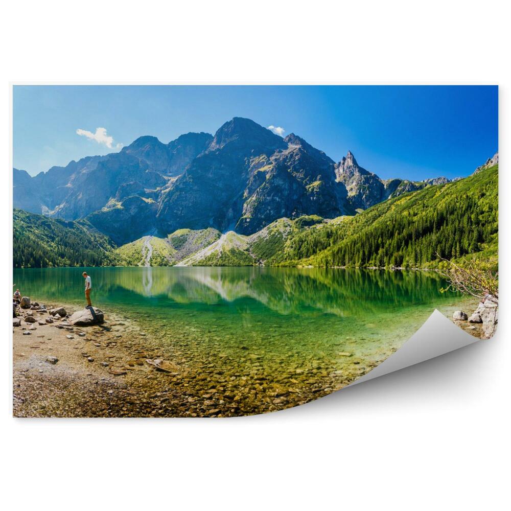 Fotótapéta Dzsungel levelei