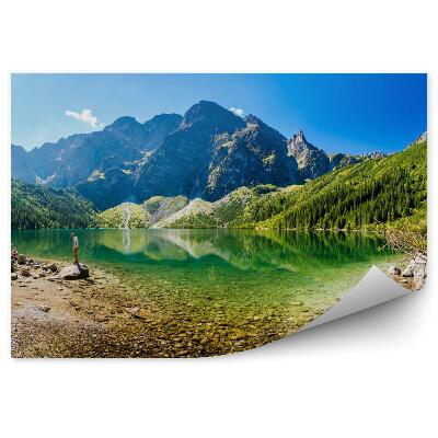 Fotótapéta Dzsungel levelei