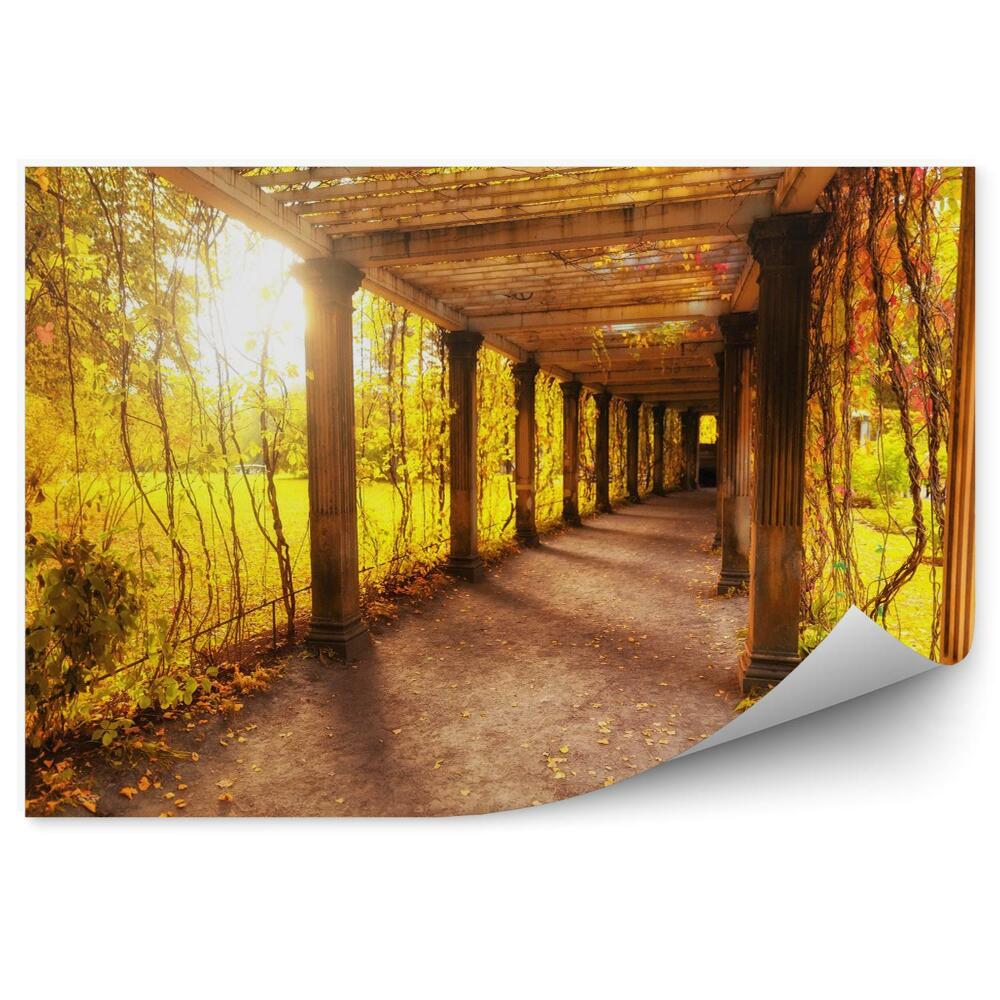 Öntapadó fotótapéta Gyönyörű őszi park