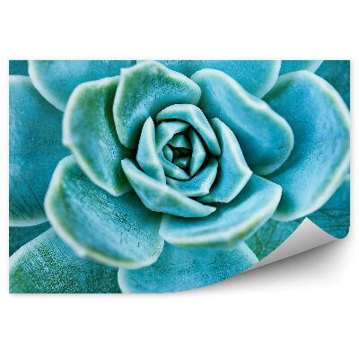 Öntapadós fotótapéta Közelkép zamatos zöld levelek