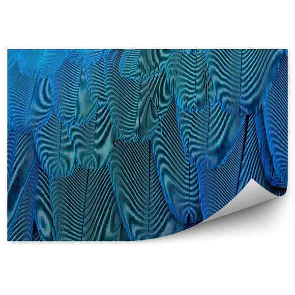 Fotótapéta Kék papagáj toll textúrája