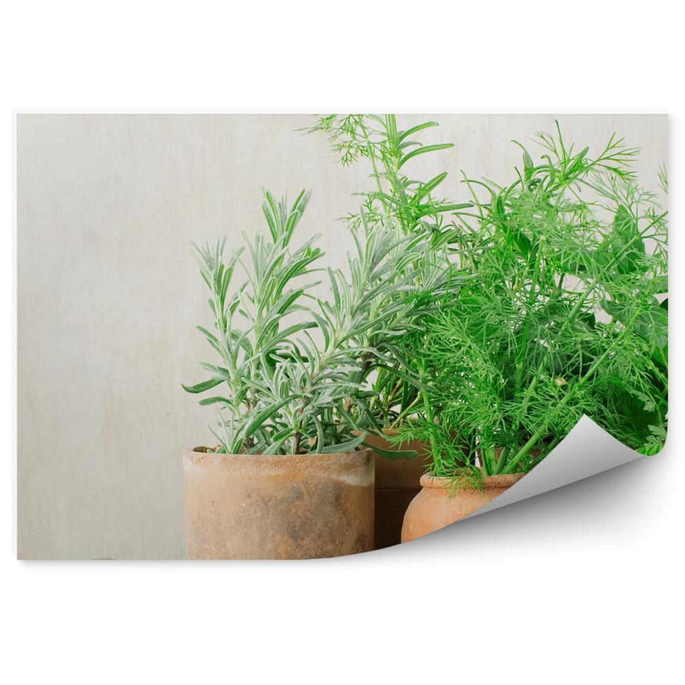Öntapadós Fotótapéta Cserepes fűszernövények zöld konyhai fa