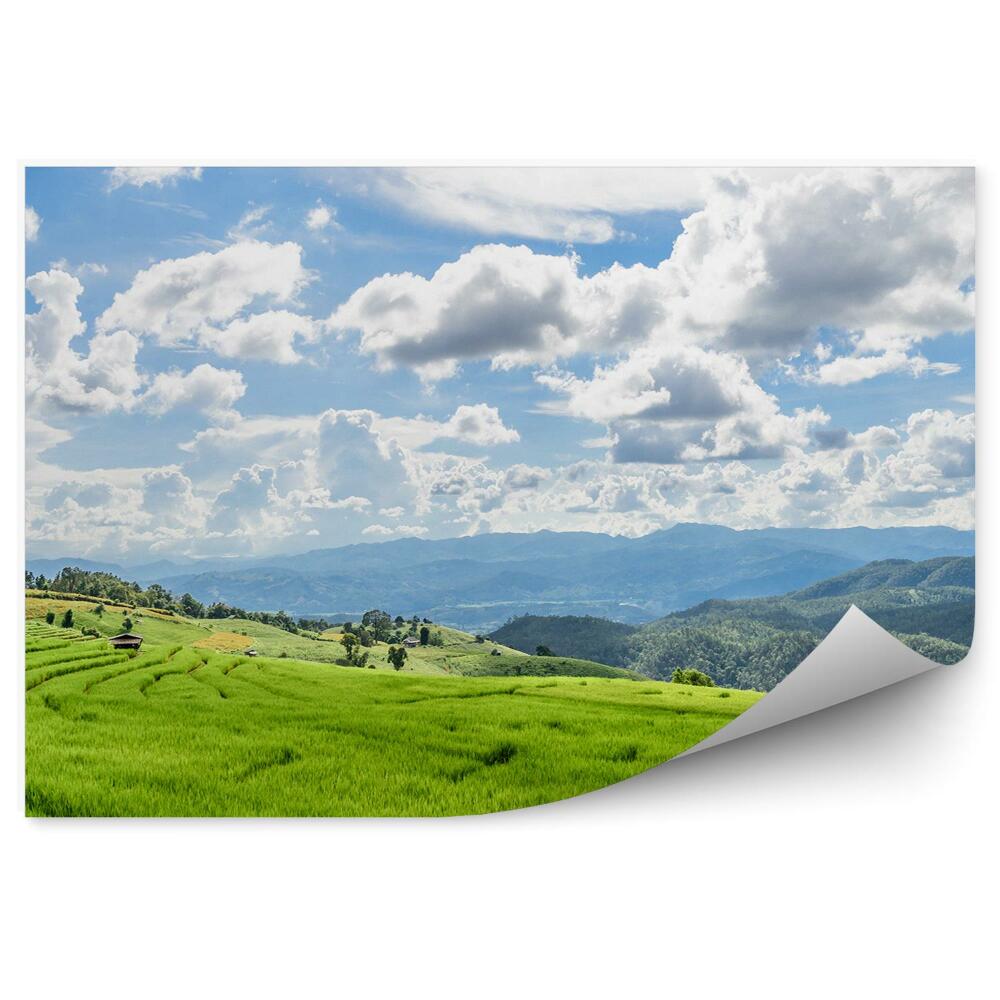 Fali poszter tapéta Zöld rizs teraszok Thaiföld természete