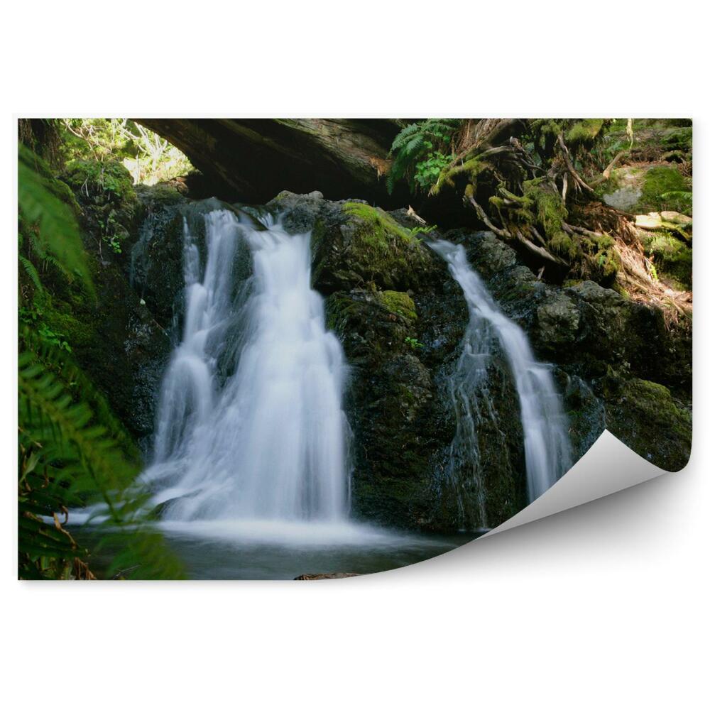 Fotótapéta Vízesések az erdőben fa természet