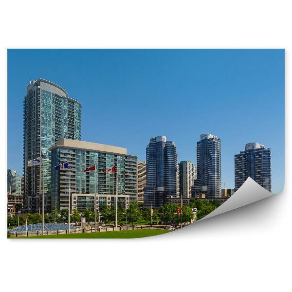 Öntapadó fotótapéta Torontó város látképe, füves olimpiai park