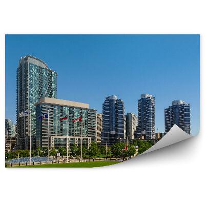 Öntapadó fotótapéta Torontó város látképe, füves olimpiai park