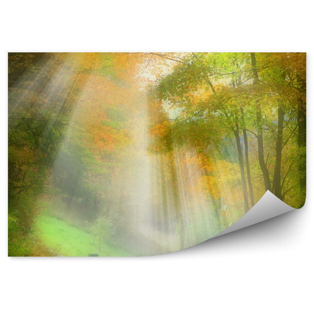 Öntapadó fotótapéta Őszi erdei út levelekkel