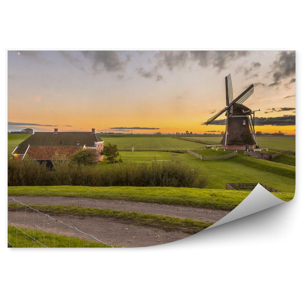 Fotótapéta Fa szélmalom mező fű naplemente