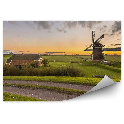 Fotótapéta Fa szélmalom mező fű naplemente