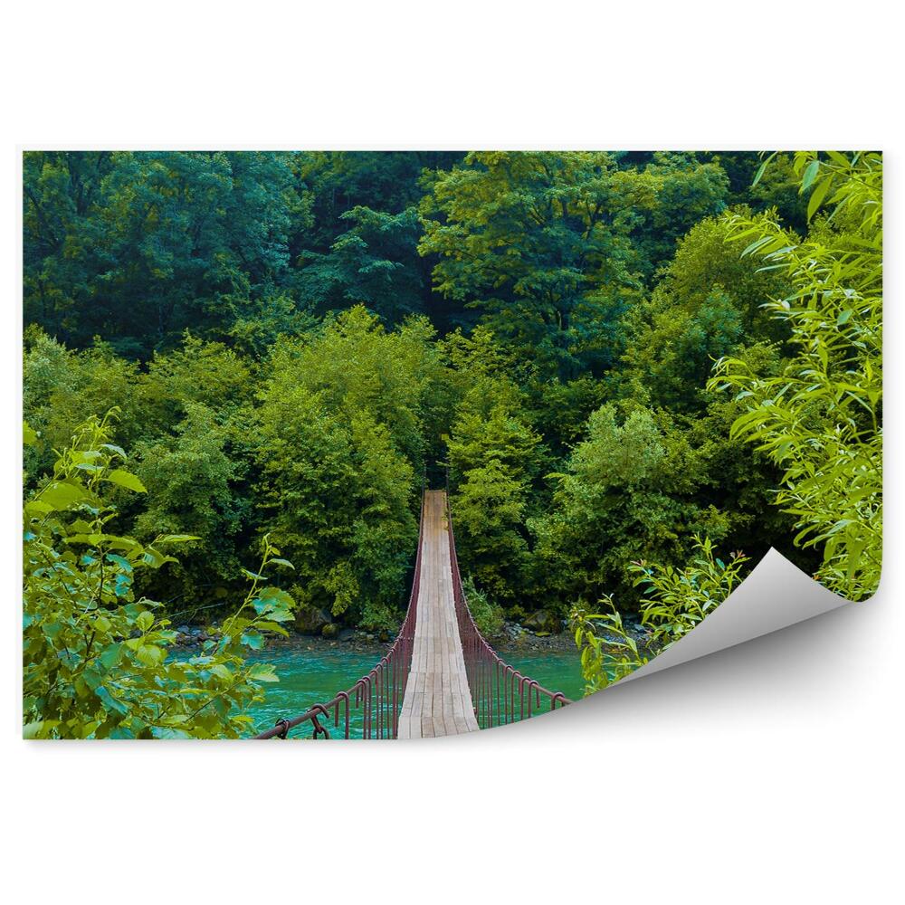 Öntapadó fotótapéta Kötélhíd fák növények hegyi folyó