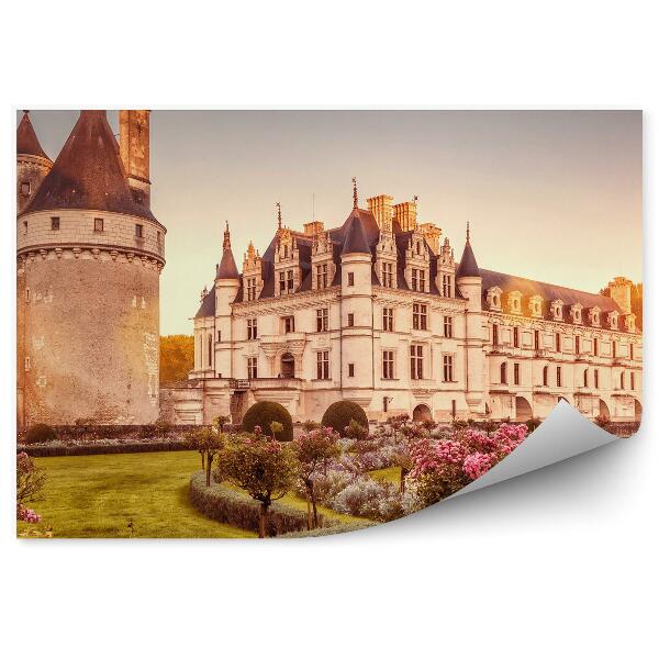 Fotótapéta Palota kerti bokrok virágai Franciaország naplemente