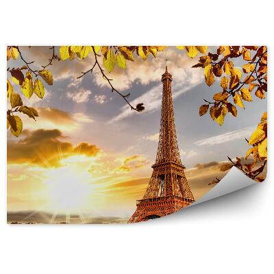 Fotótapéta A Szajna hajói