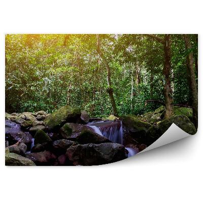 Modern fotótapéta Trópusi erdő szikla vízesés kilátás