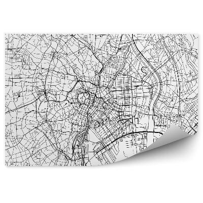 Fotótapéta Japán tokió városi terv térkép vetítés