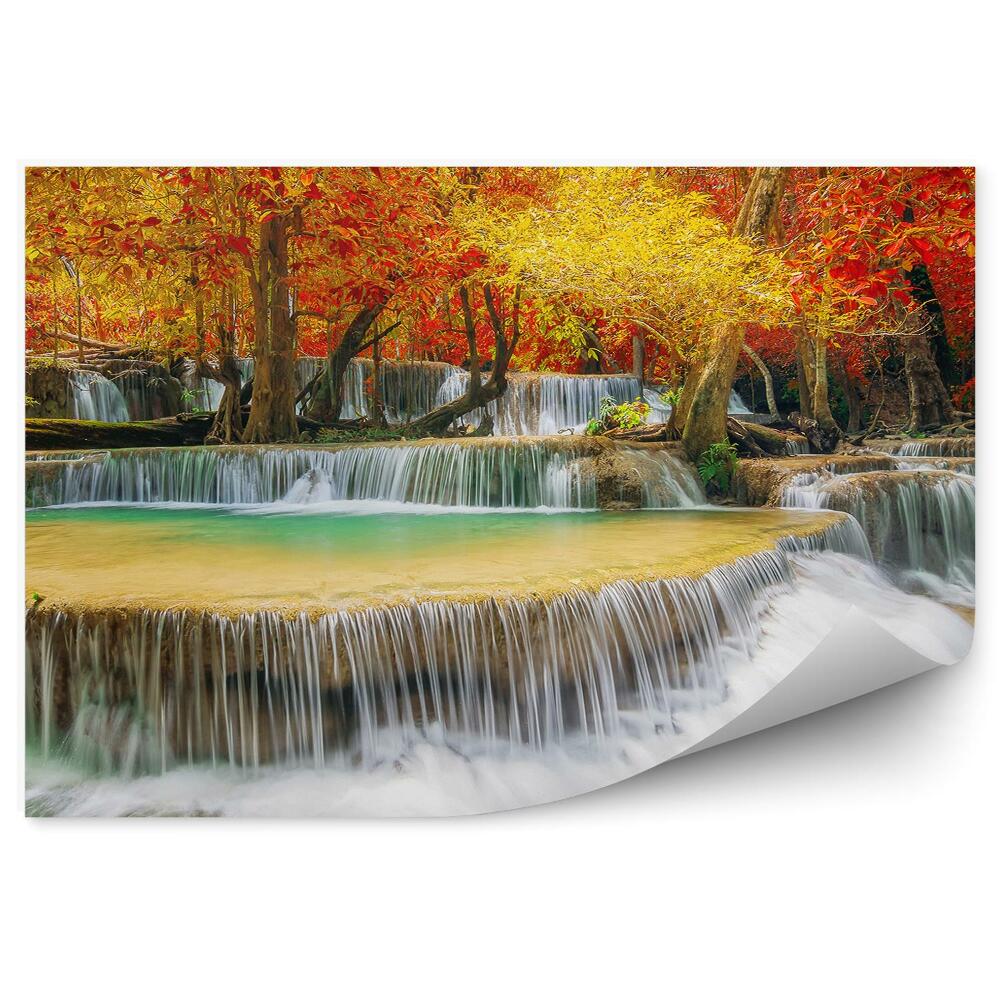 Fotótapéta Őszi vízesések erdei levelek fa