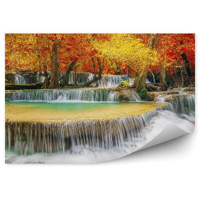 Fotótapéta Őszi vízesések erdei levelek fa