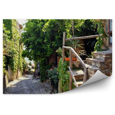 Fotótapéta Olaszország növényzetének történelmi sikátora