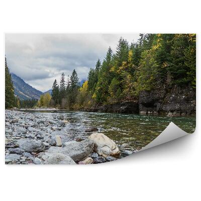 Öntapadós fotótapéta karácsonyfák zöld erdő folyó kövek dombok
