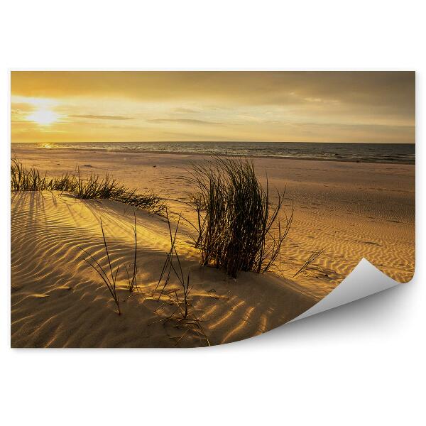 Poszter tapéta Dűnék fű napfény víz