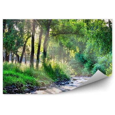 Öntapadós fotótapéta Folyó fák zöld bokrok napsütés
