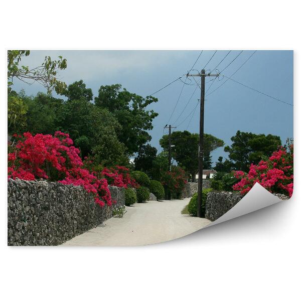 Fotó poszter tapéta Okinawa Japán növényzet virágai