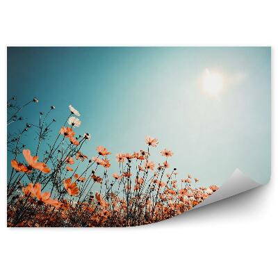 Poszter tapéta Mező az égen