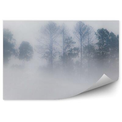 Öntapadós fotótapéta falra Ködös erdő