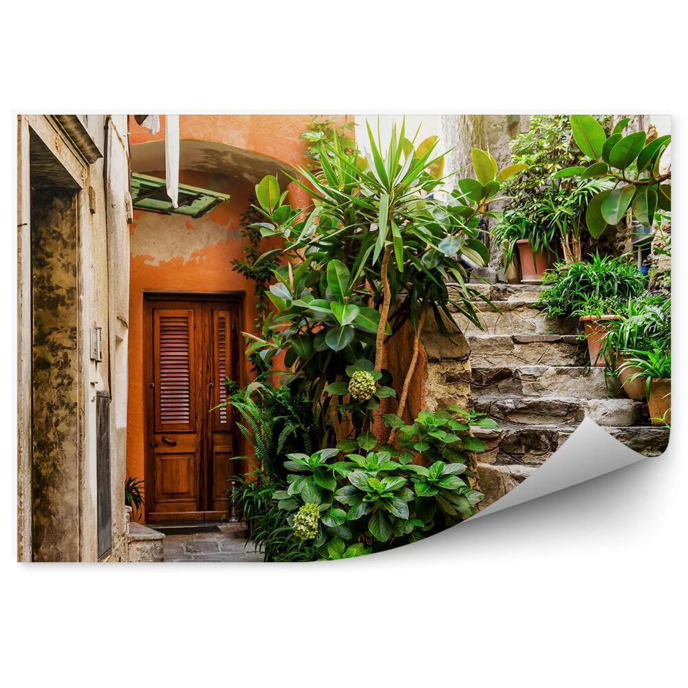 Fotótapéta Régi kőlépcső zöld cserepes növényekkel