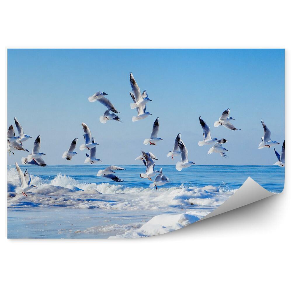 Öntapadó fotótapéta Repülő fehér sirályok csapata