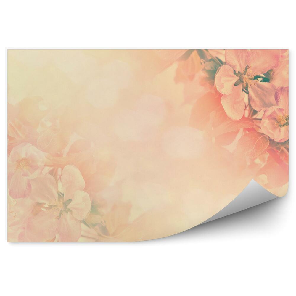 Poszter tapéta Narancssárga alma virágok háttér