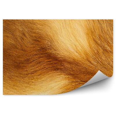 Fotótapéta Narancssárga róka szőrme